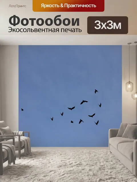 Фотообои Птица
