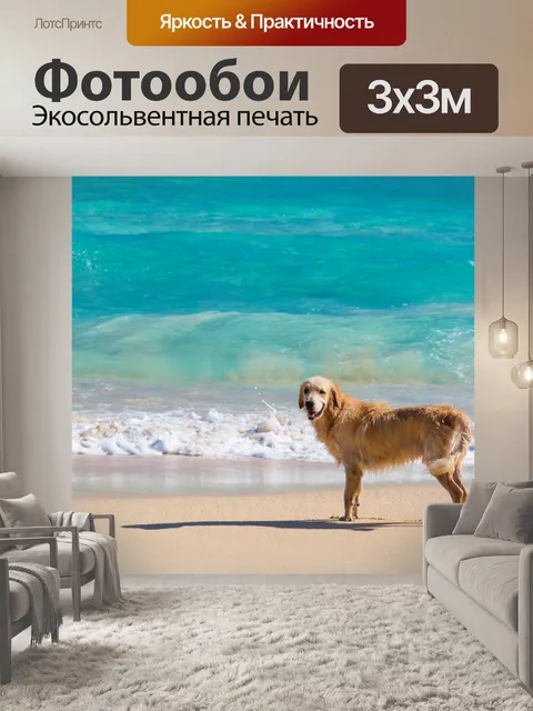 Фотообои Собака на пляже