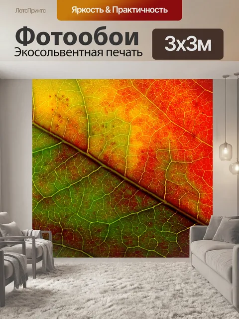 Фотообои Осенняя листва лист макросъемка