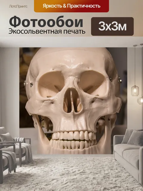 Фотообои Череп и скрещенные кости