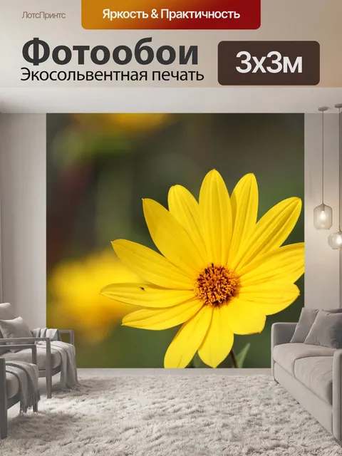 Фотообои Цветы