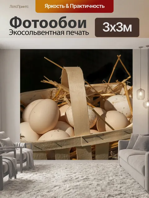 Фотообои Яйца