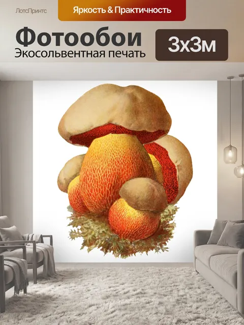 Фотообои Грибы Винтажное Искусство