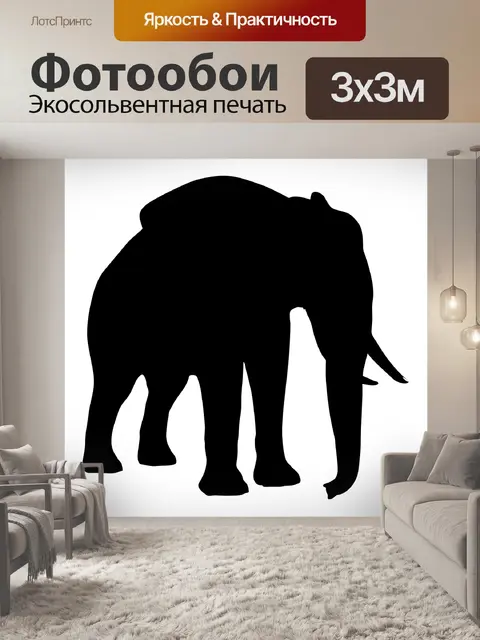 Фотообои Силуэт