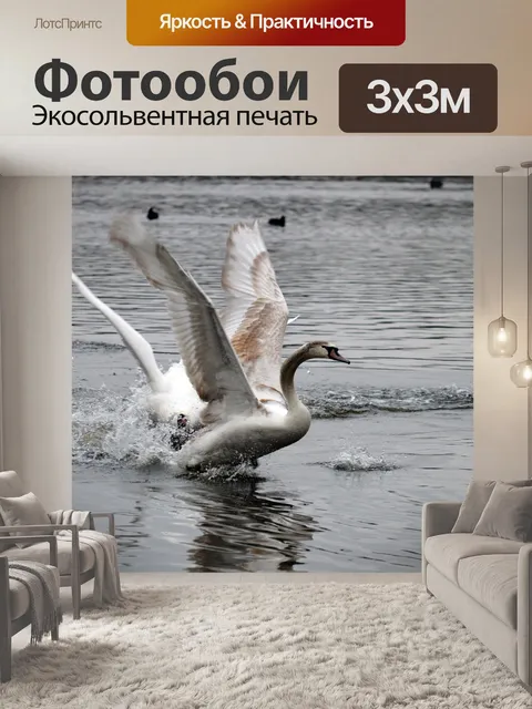 Фотообои Лебедь