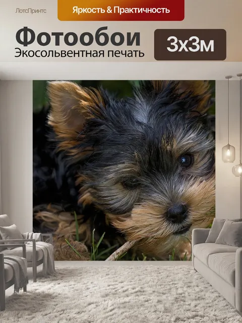 Фотообои Собака