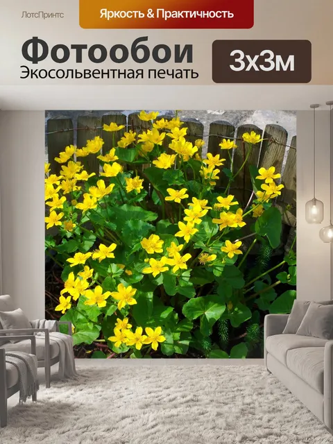 Фотообои Болото новости первокурсника
