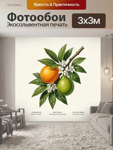 Фотообои Ветка цитруса с плодами