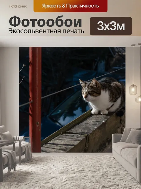 Фотообои Кошка