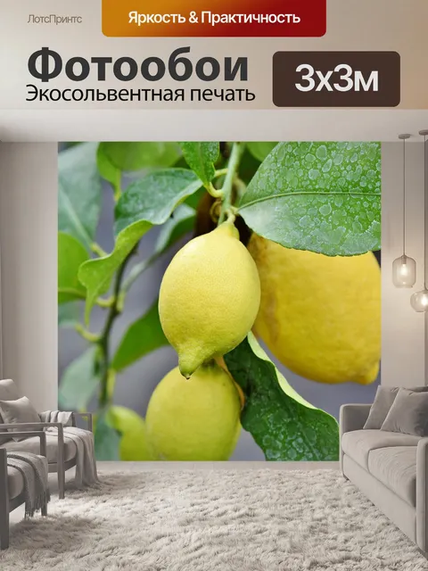 Фотообои Лимон