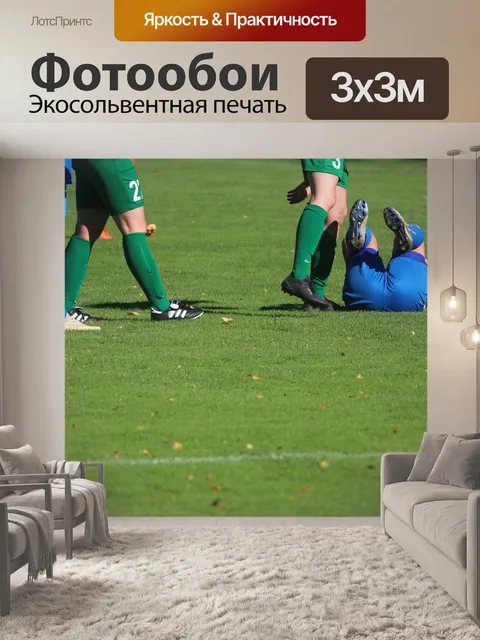 Фотообои Игроки