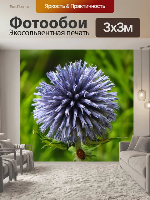 Фотообои Божья коровка