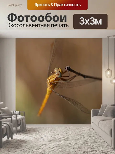 Фотообои Стрекоза