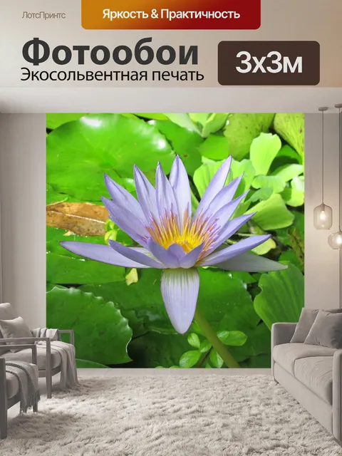 Фотообои Лили