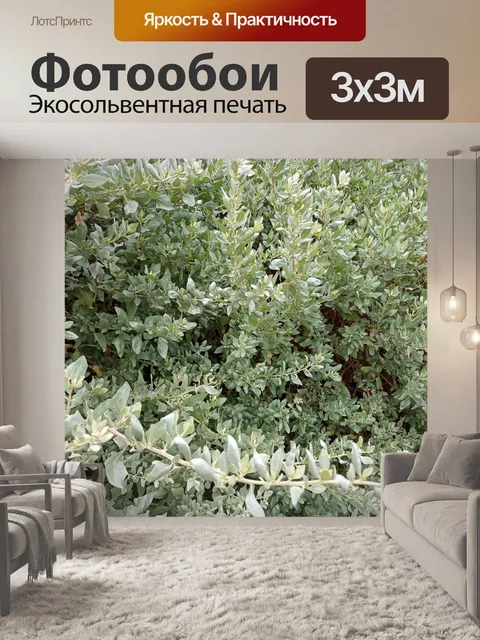 Фотообои зеленый