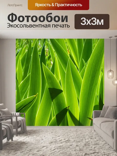 Фотообои Листы