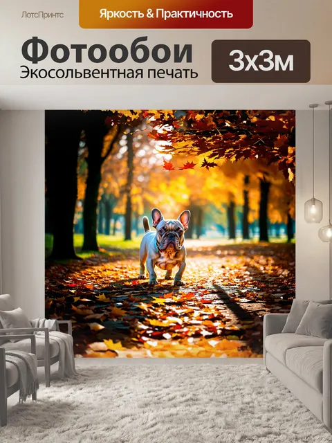 Фотообои французский бульдог, играющий в парке среди ярких осенних листьев, ловит падающие листья в воздухе