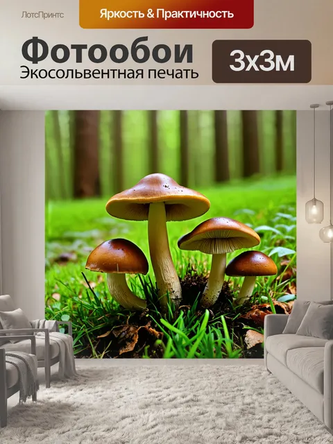 Фотообои коричневые грибы растут среди зелёной травы в лесу