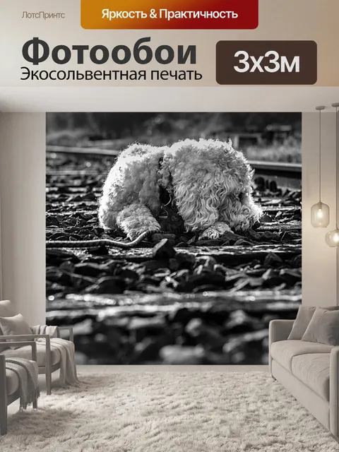 Фотообои Goldendoodle