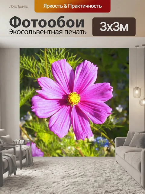 Фотообои Космос
