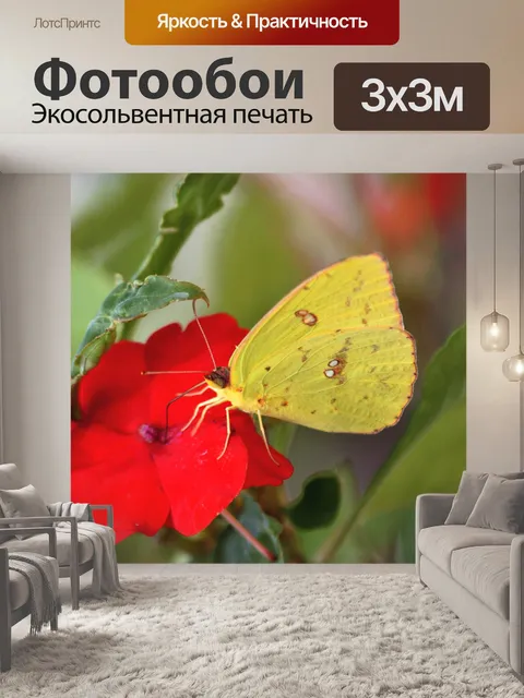 Фотообои Безоблачная сера Бабочка