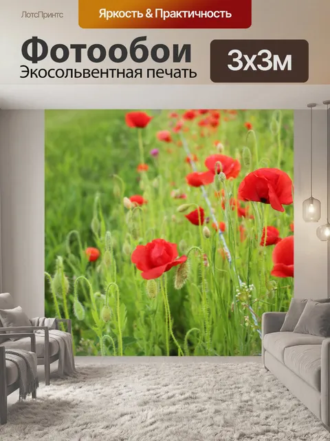 Фотообои Красочные Полевые цветы Красные маки