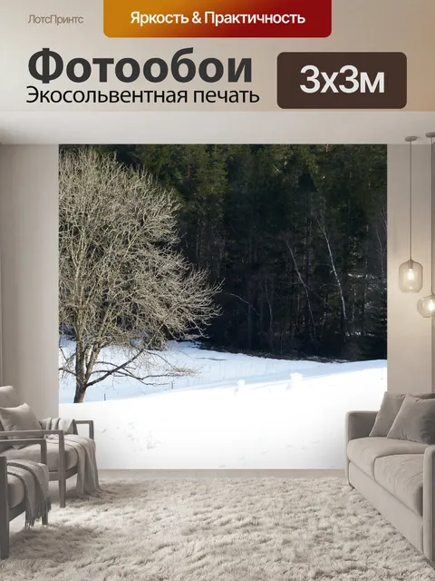 Фотообои Черный лес