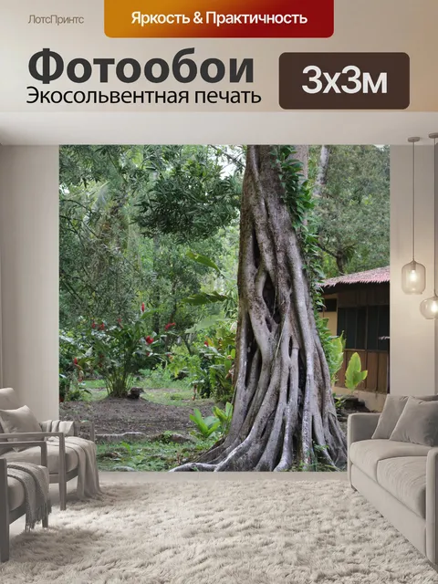 Фотообои Дерево тропического леса