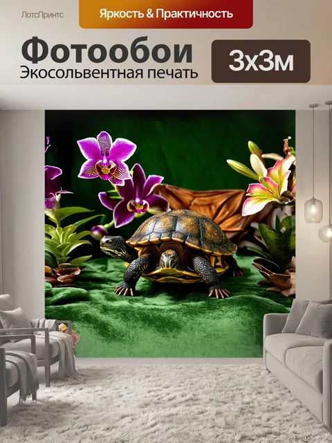 Фотообои экзотический натюрморт с черепашкой