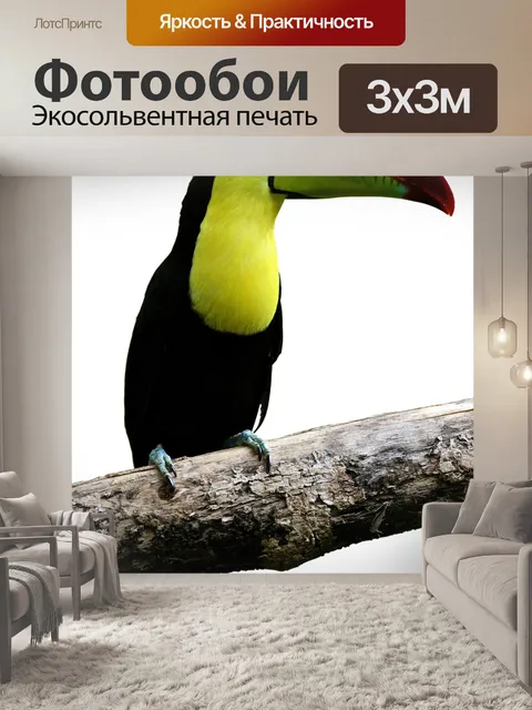 Фотообои Птица
