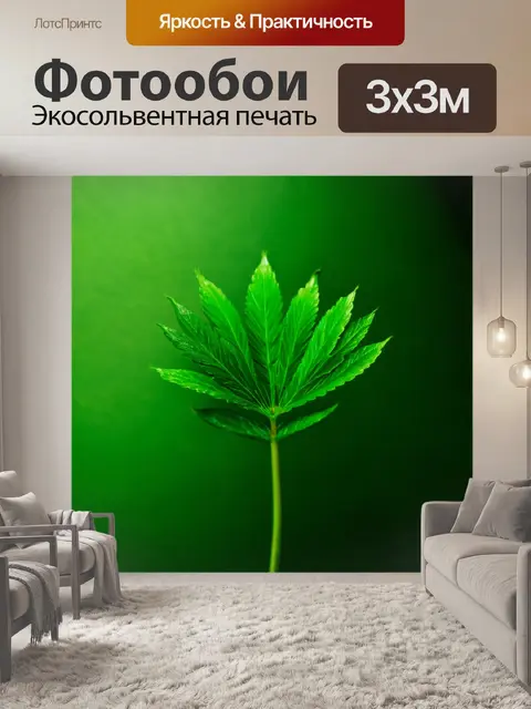 Фотообои зеленые в стиле минимализм, с элегантными контрастами между светом и тенью