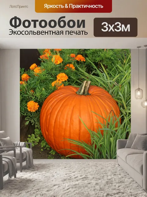 Фотообои Тыква и хризантемы 2