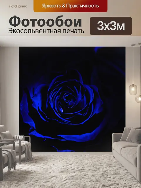 Фотообои Роза