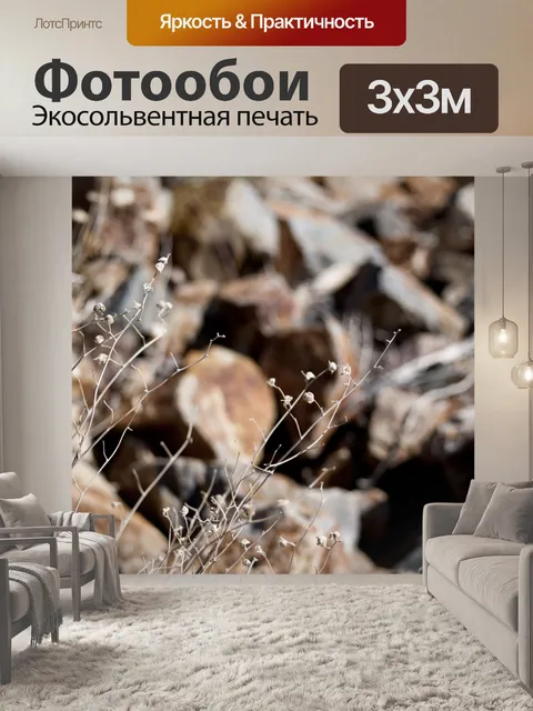 Фотообои Сорняки пустыни