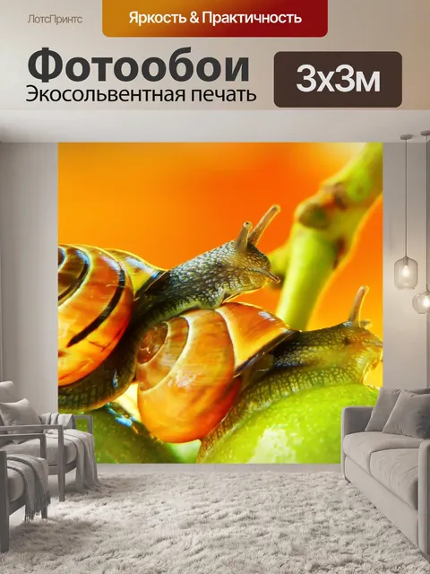 Фотообои Wstężyki gajowe