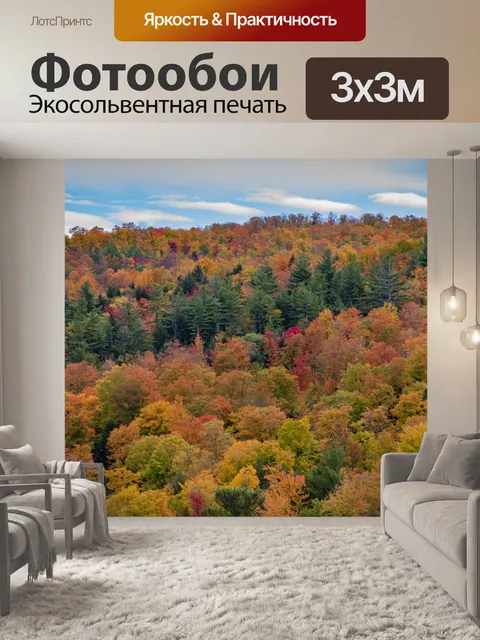 Фотообои Осенние деревья