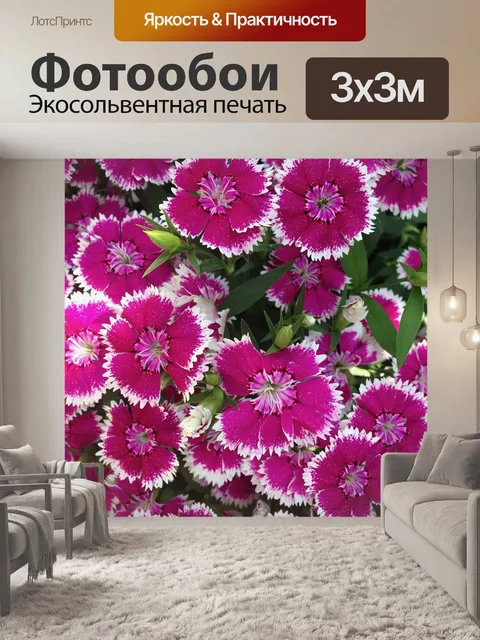 Фотообои Цветы