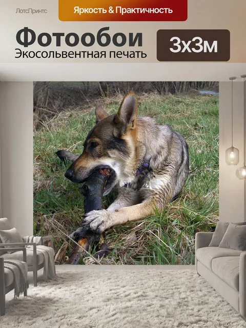 Фотообои Чехословацкий