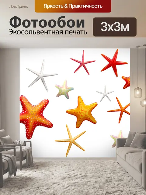 Фотообои Ракушки
