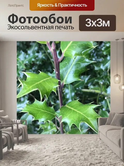 Фотообои Холли