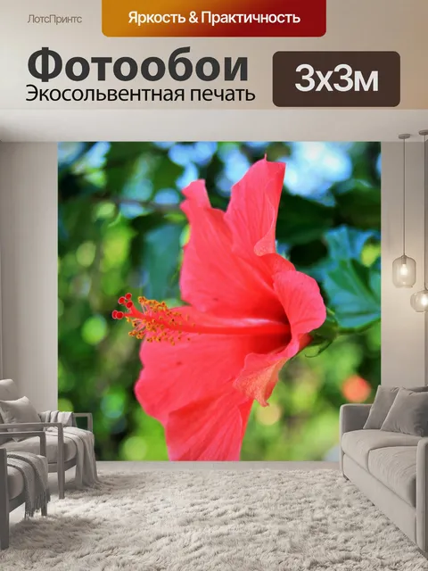 Фотообои розовый гибискус