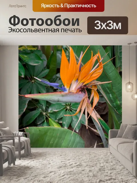 Фотообои Цветок райской птицы