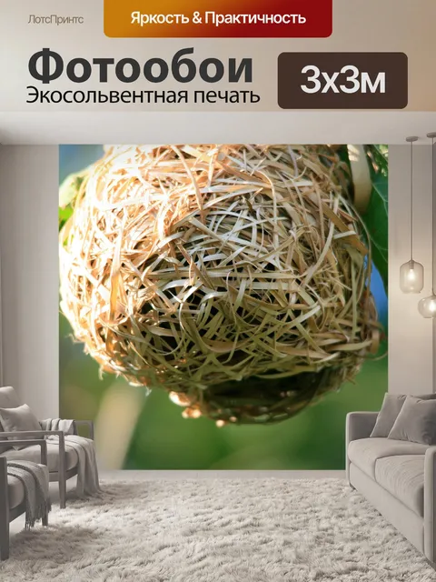 Фотообои плетение гнезда