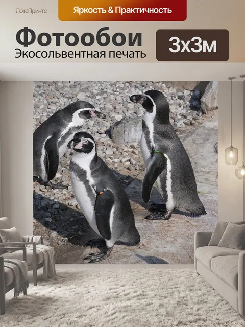 Фотообои Животное