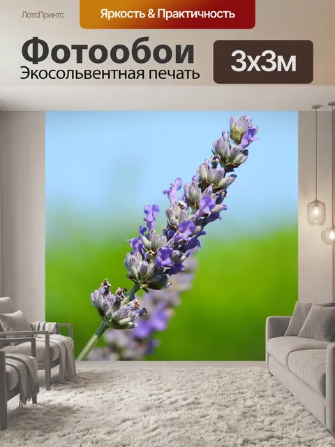 Фотообои Лаванда