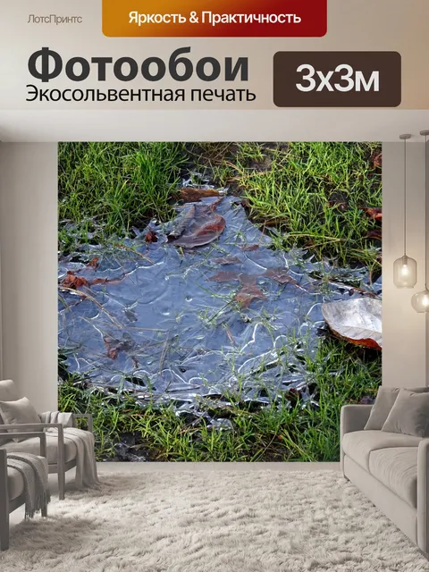 Фотообои Лужа превратилась в лед