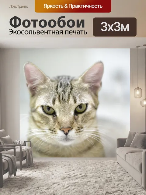 Фотообои Милый