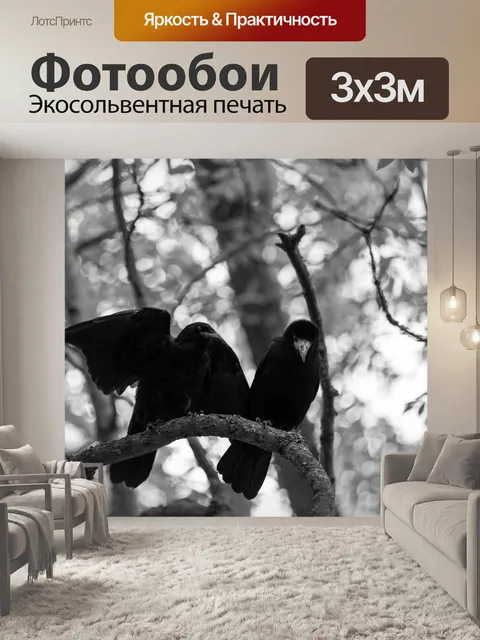 Фотообои Черный ворон
