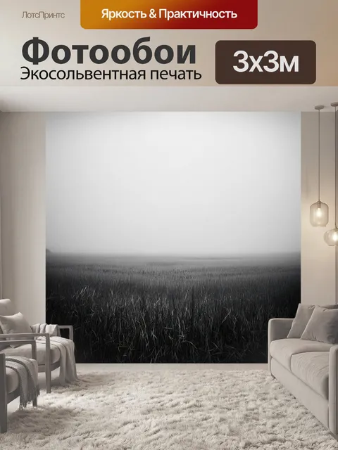 Фотообои туман в стиле черно-белый