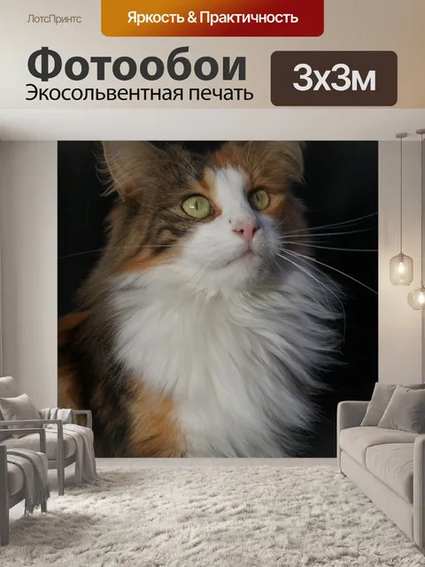 Фотообои Норвежская лесная кошка